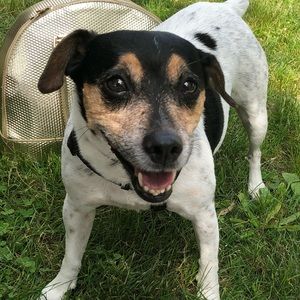 Meet your Posher, Angelica